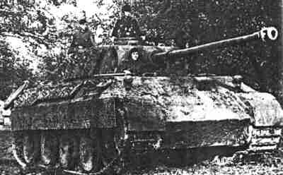 pz5d